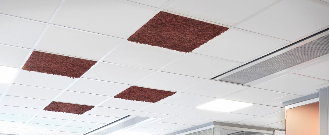 Nordgrona Canopy Copper