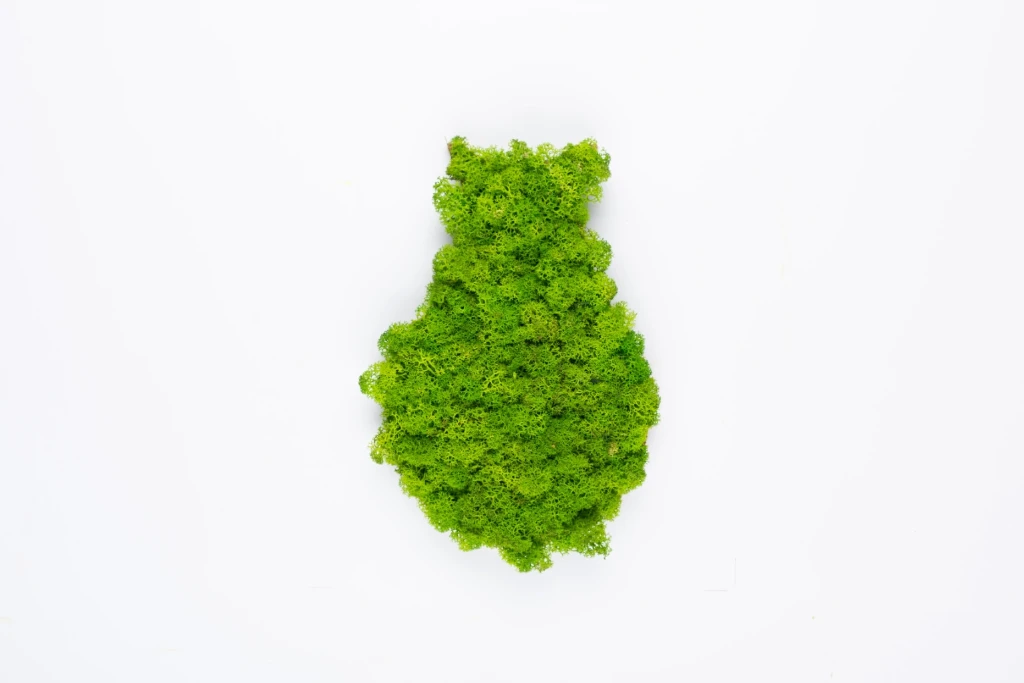 Muratto Drop Moss lime green